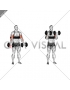 Dumbbell Biceps Curl (with arm blaster)