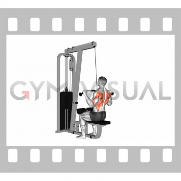 Cable Bar Lateral Pulldown