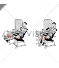 Lever Seated Leg Curl