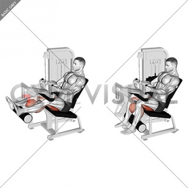 Lever Seated Leg Curl