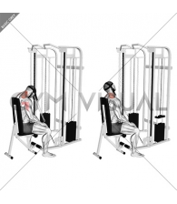 Cable Seated Neck Extension (with head harness)