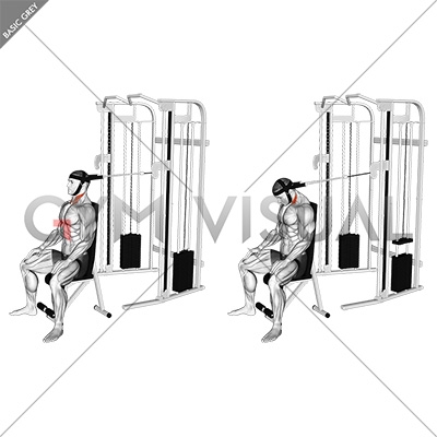https://gymvisual.com/10490-thickbox_default/cable-seated-neck-flexion-with-head-harness.jpg