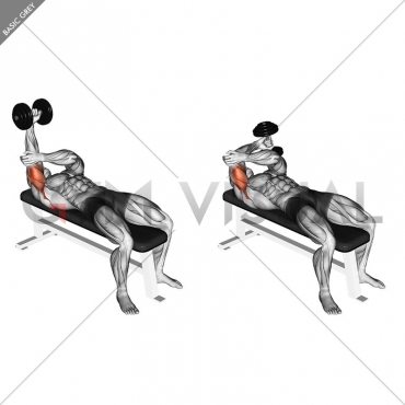 Dumbbell Lying One Arm Pronated Triceps Extension