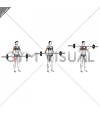 Barbell Wide-grip Drag Curl