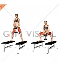Dumbbell Sumo Squat off Benches (female)