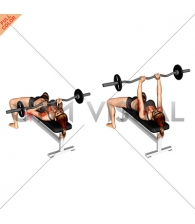EZ-bar Close-Grip Bench Press (female)