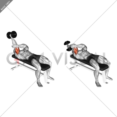 Dumbbell Lying One Arm Supinated Triceps Extension - Gym visual
