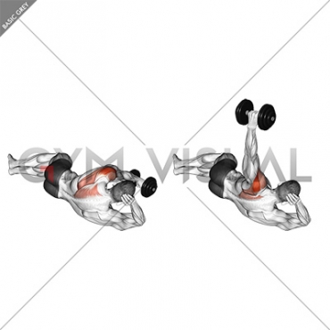 Dumbbell Lying on Floor Rear Delt Raise