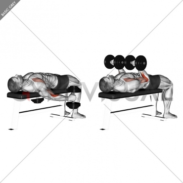 Dumbbell Lying Supine Curl