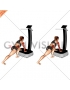 Vibrate Plate Plank (female)