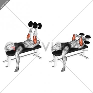 Dumbbell Neutral Grip Bench Press