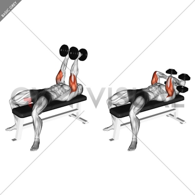 Dumbbell Neutral Grip Bench Press - Gym visual