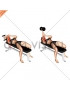 Dumbbell Lying One Arm Supinated Triceps Extension (female)