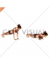 Close-Grip Push-up (female)