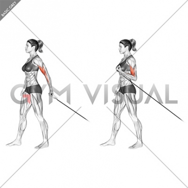 Cable One Arm Biceps Curl (VERSION 2) (female)