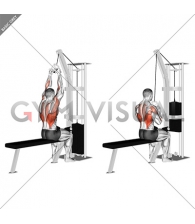 Cable Lateral Pulldown with V-bar