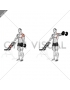 Dumbbell One Arm Lateral Raise