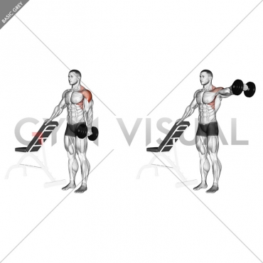 Dumbbell One Arm Lateral Raise