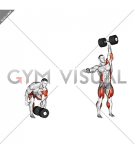 StrongMan Dumbbell One Arm Clean and Jerk