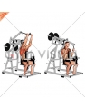 Lever Reverse grip Lateral Pulldown (plate loaded)