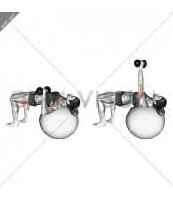 Dumbbell One Arm Press (on stability ball)