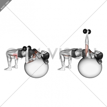 Dumbbell One Arm Press (on stability ball)