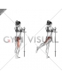 Standing Hip Extension (straight leg) (female)