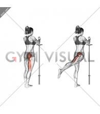 Standing Hip Extension (straight leg) (female)