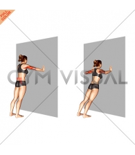 Wide Push-up (wall) (female)