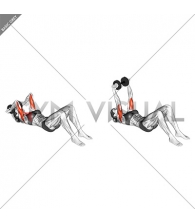 Dumbbell Lying Triceps Extension on Floor (female)