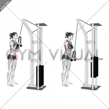 Cable Pushdown (with rope attachment) (female)