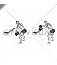 Dumbbell One Arm Reverse Fly (with support)