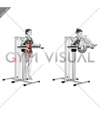 Vertical Leg Raise (on parallel bars) (female)