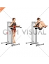 Vertical Leg Raise (on parallel bars) (female)