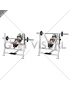 Barbell Decline Bench Press (female)