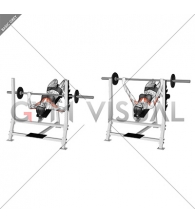 Barbell Decline Bench Press (female)