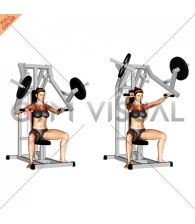 Lever Chest Press (plate loaded) (female)