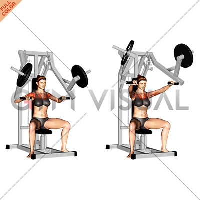 https://gymvisual.com/10995-thickbox_default/lever-chest-press-plate-loaded-female.jpg