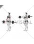 Barbell Reverse Curl (female)