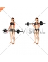 Barbell Reverse Curl (female)