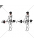 Barbell Shrug (female)