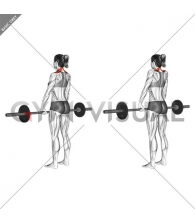 Barbell Shrug (female)