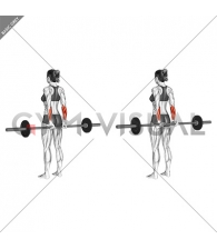 Barbell Standing Back Wrist Curl (female)