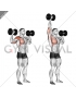 Dumbbell One Arm Shoulder Press