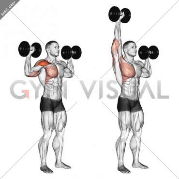 Dumbbell One Arm Shoulder Press