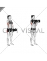 Dumbbell Biceps Curl (female)