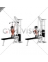 Cable Reverse Grip Pulldown (female)