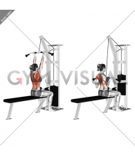 Cable Reverse Grip Pulldown (female)