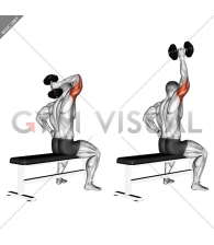 Dumbbell One Arm Triceps Extension (on bench)