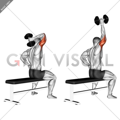 Dumbbell One Arm Triceps Extension (on bench) - Gym visual